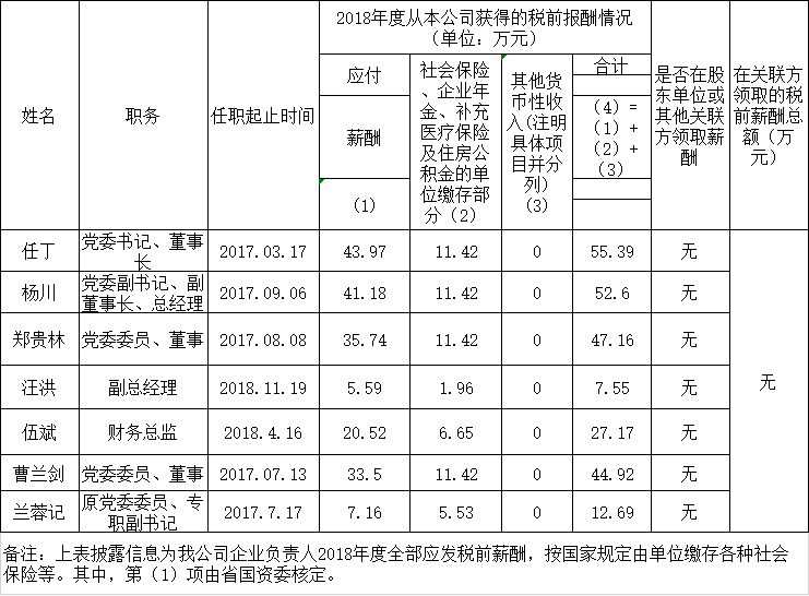 尊龙凯时卖力人2018年度薪酬情况