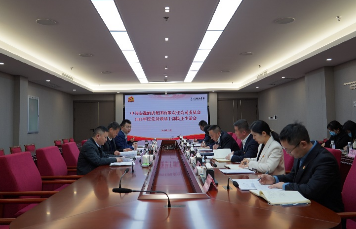 尊龙凯时集团党委书记、董事长任丁出席清闲酒店集团2022年度党员领导干部民主生活会